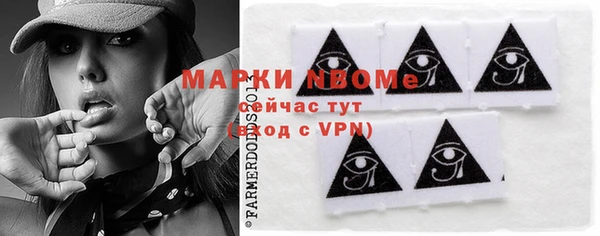 гашик Болотное