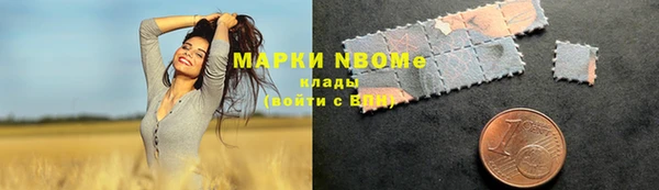 прущий лед Осташков