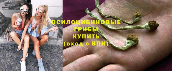 дурь Козельск