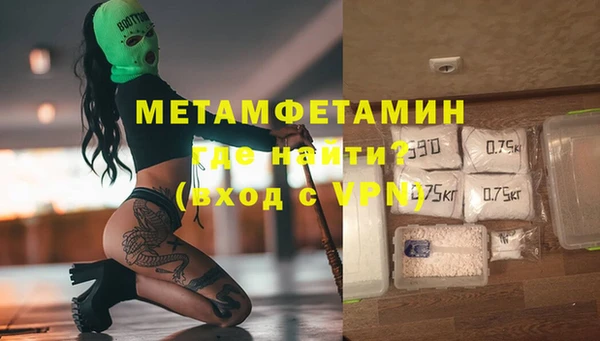 гашик Болотное