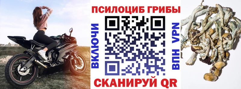 площадка состав  Миасс  Галлюциногенные грибы Magic Shrooms 