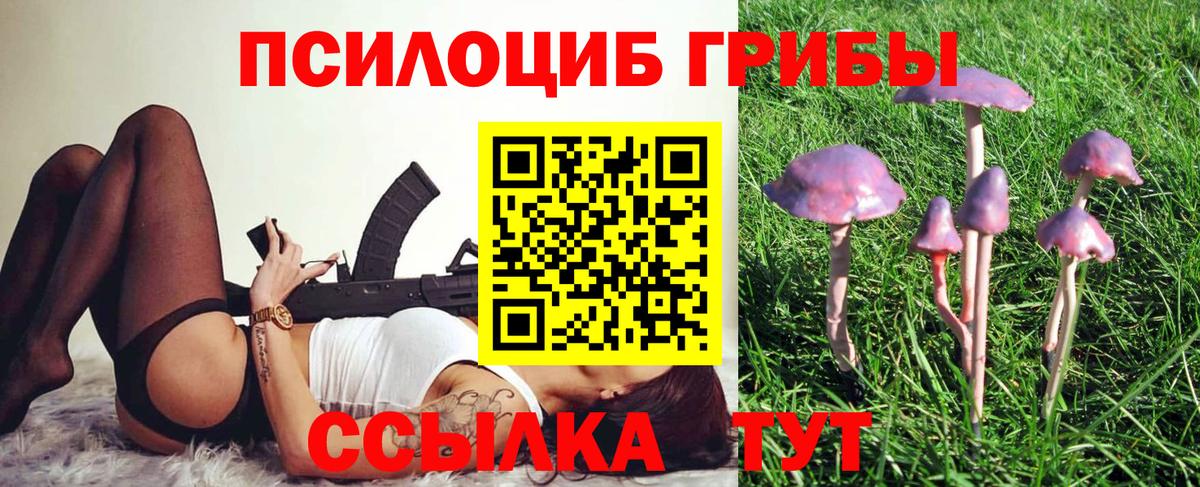 Псилоцибиновые грибы мицелий  Миасс  где можно купить наркотик  Галлюциногенные грибы Psilocybe 