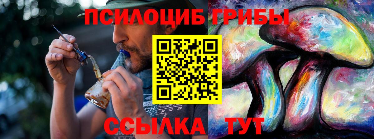 Псилоцибиновые грибы Cubensis  где купить наркотик  Миасс  Псилоцибиновые грибы Magic Shrooms  Вход с VPN 