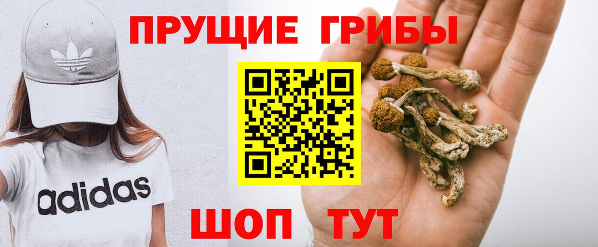 Псилоцибиновые грибы Cubensis Миасс