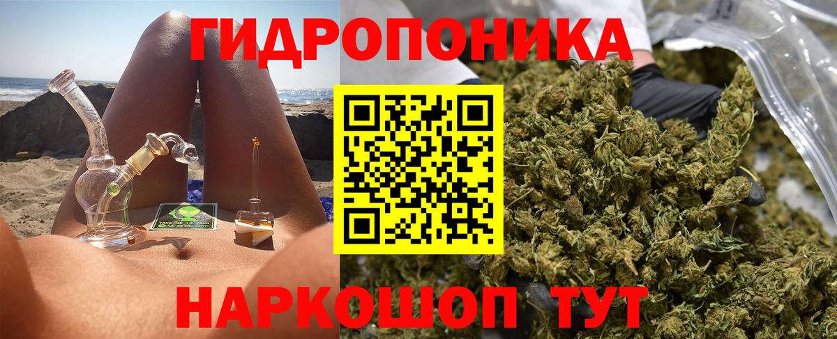 Бошки марихуана ГИДРОПОН  Бошки марихуана Ganja  Марихуана ГИДРОПОН  Бошки марихуана план  Вход с VPN  Миасс 